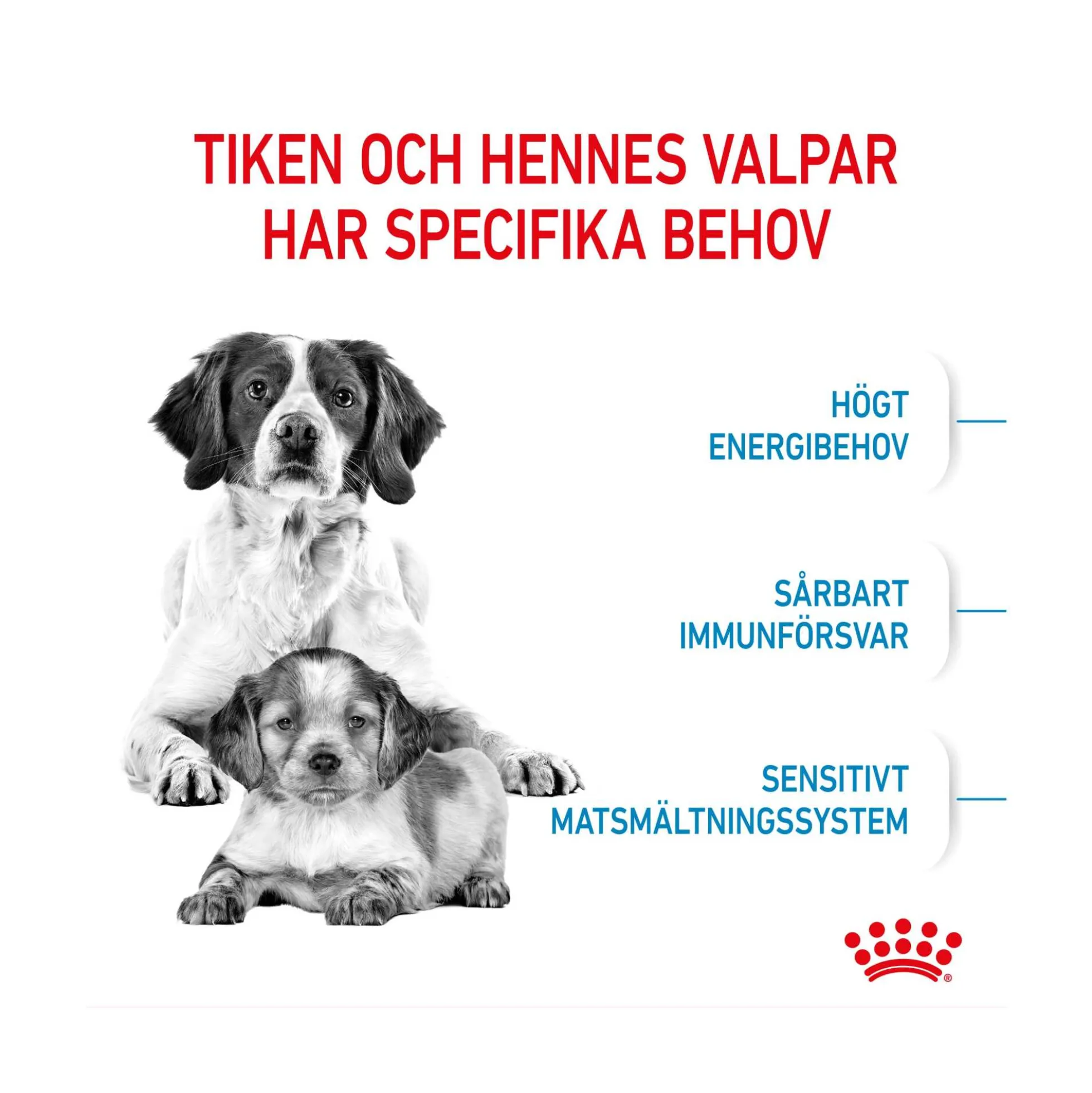 Royal Canin Medium Starter Mother & Babydog