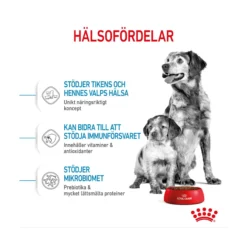 Royal Canin Medium Starter Mother & Babydog