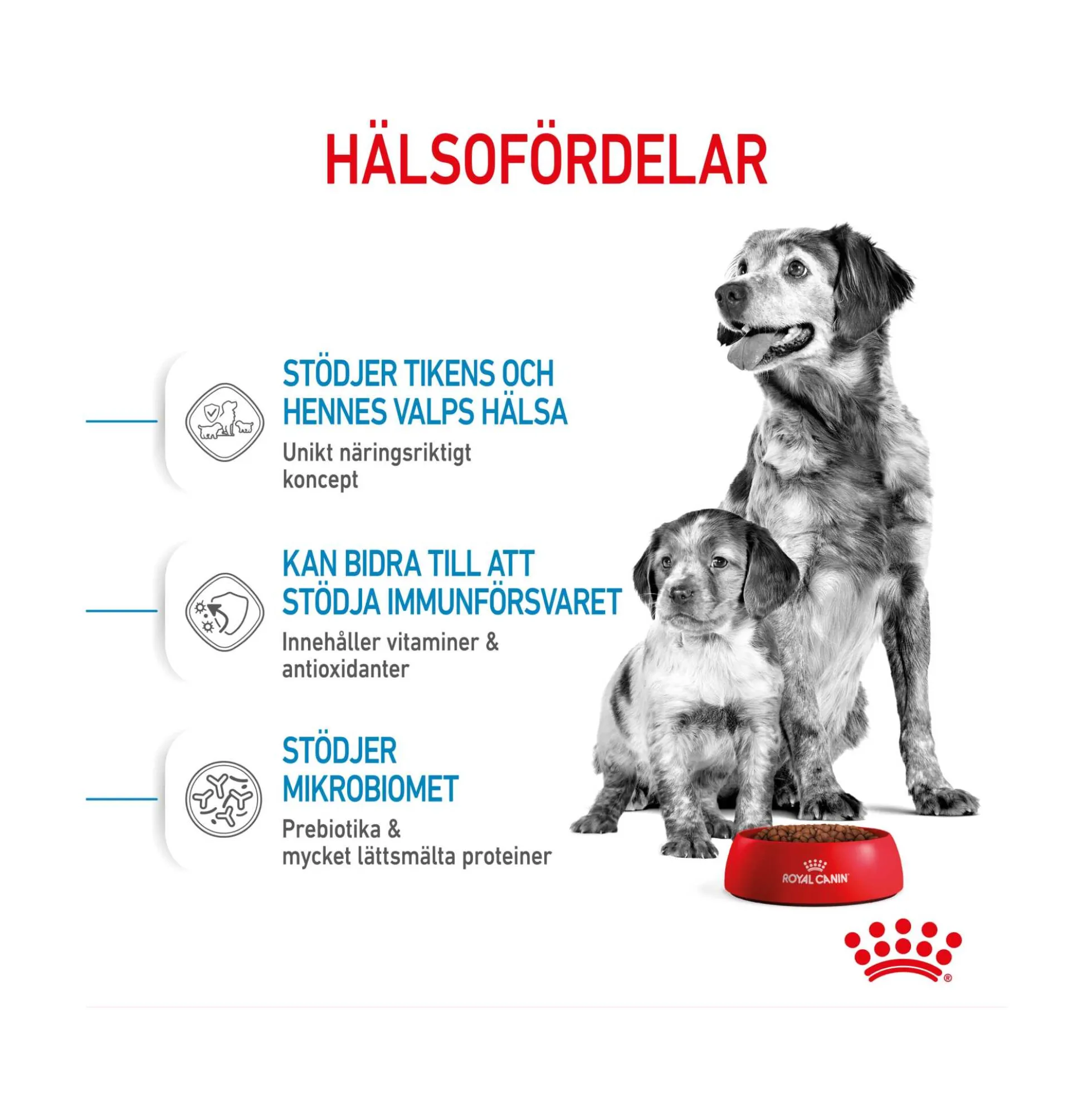 Royal Canin Medium Starter Mother & Babydog
