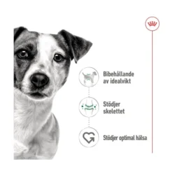 Royal Canin Mini Adult Wet