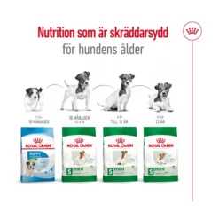 Royal Canin Mini Ageing 12+