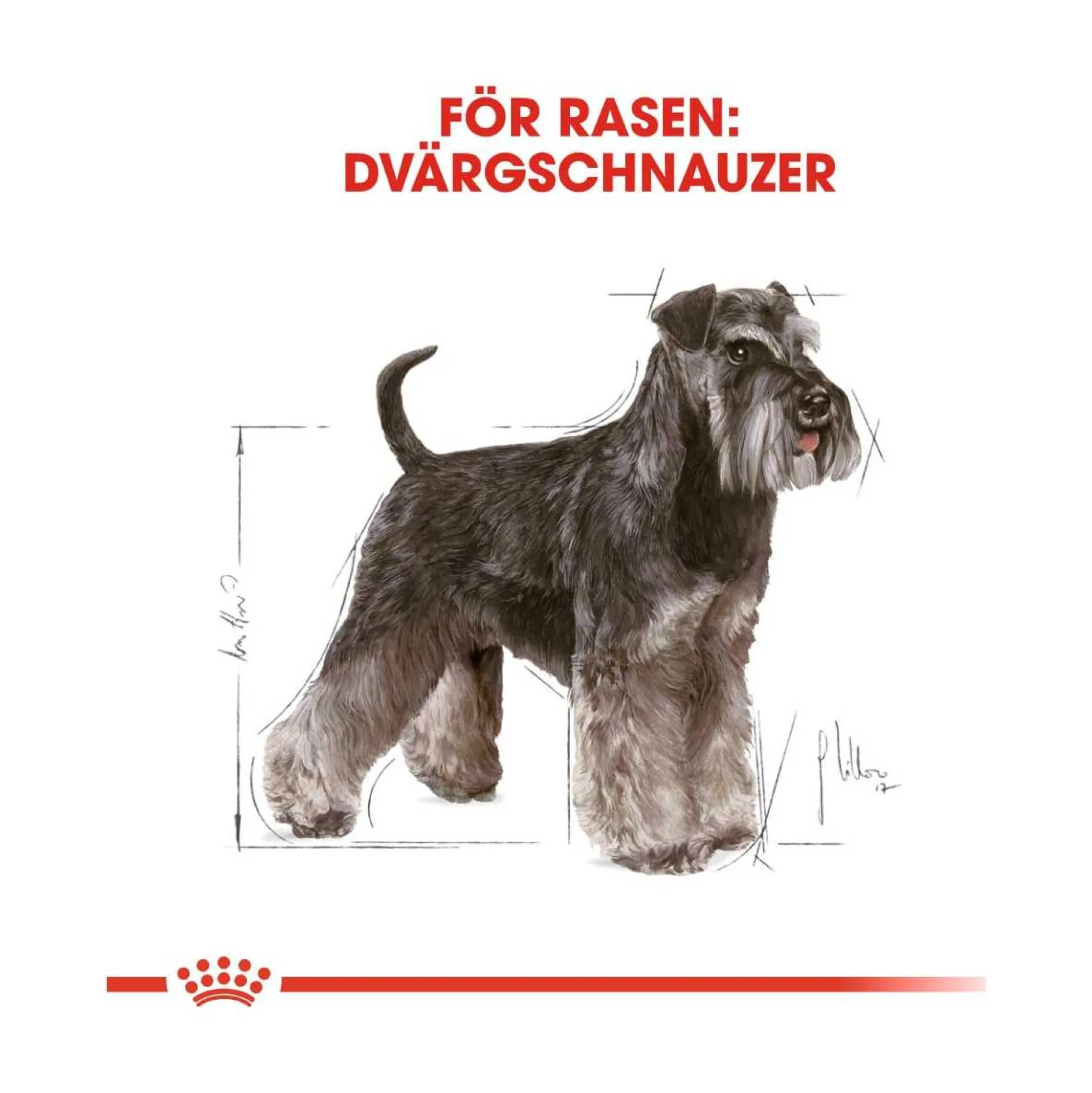 Royal Canin Miniature Schnauzer Adult