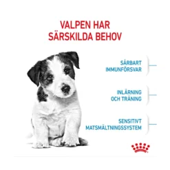 Royal Canin Mini Puppy