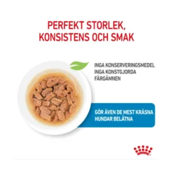 Royal Canin Mini Puppy Wet