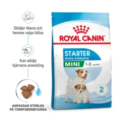 Royal Canin Mini Starter Mother & Babydog