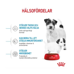 Royal Canin Mini Starter Mother & Babydog