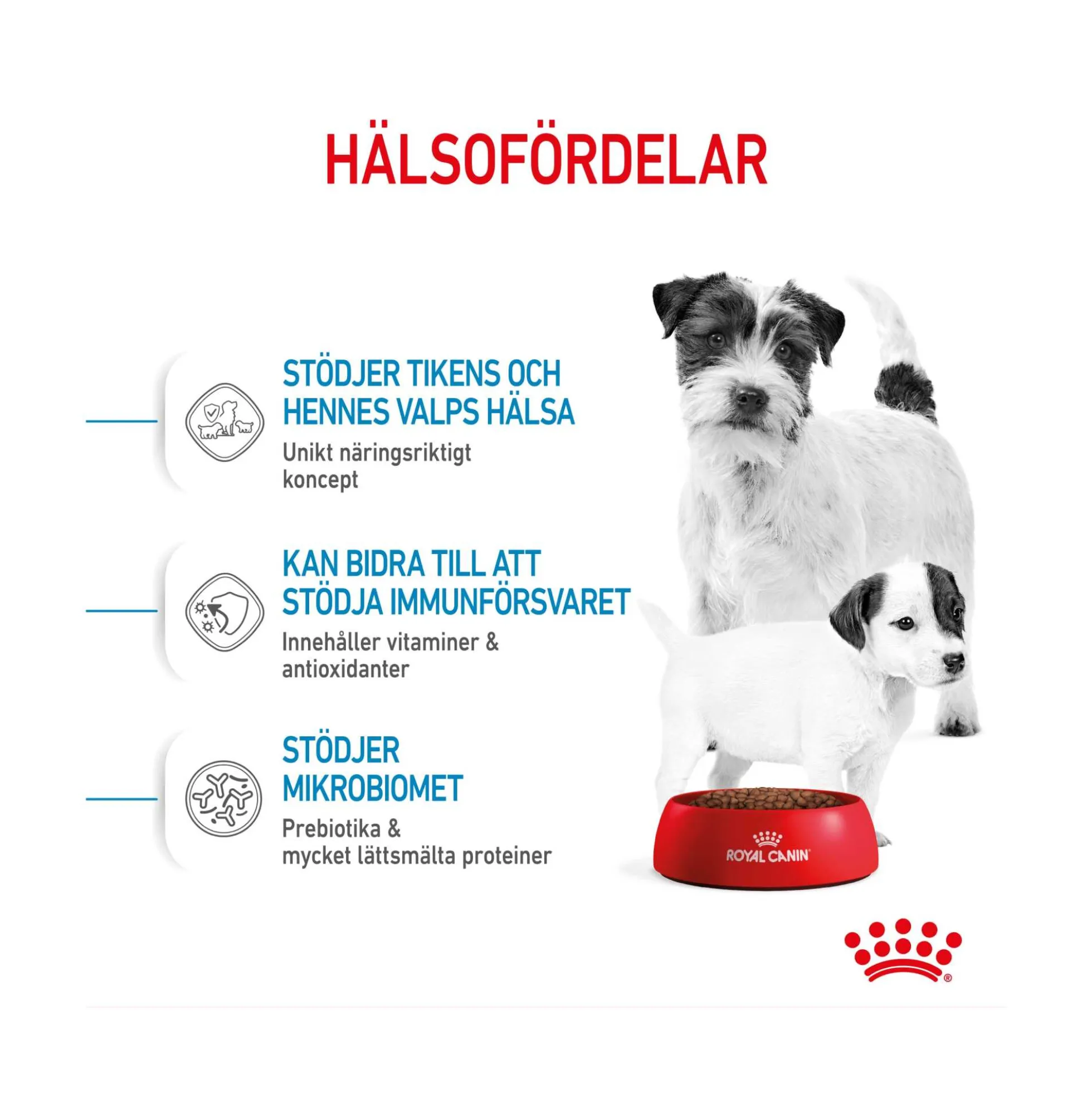 Royal Canin Mini Starter Mother & Babydog