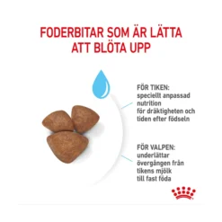 Royal Canin Mini Starter Mother & Babydog