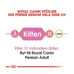 Royal Canin Persian Kitten