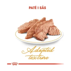 Royal Canin Persian Wet