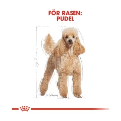 Royal Canin Poodle Adult