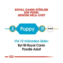 Royal Canin Poodle Puppy
