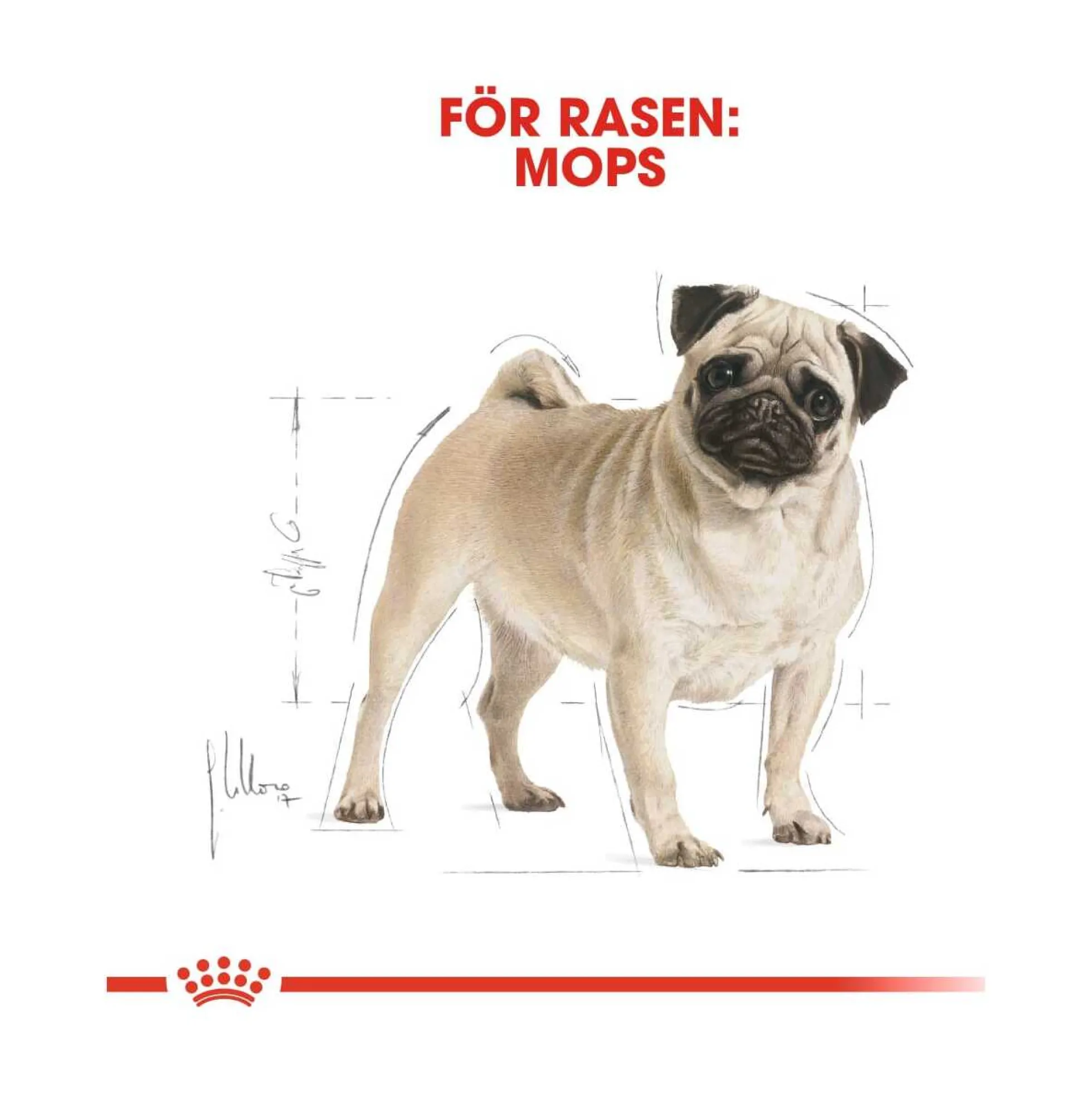 Royal Canin Pug Adult