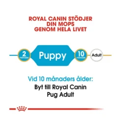 Royal Canin Pug Puppy