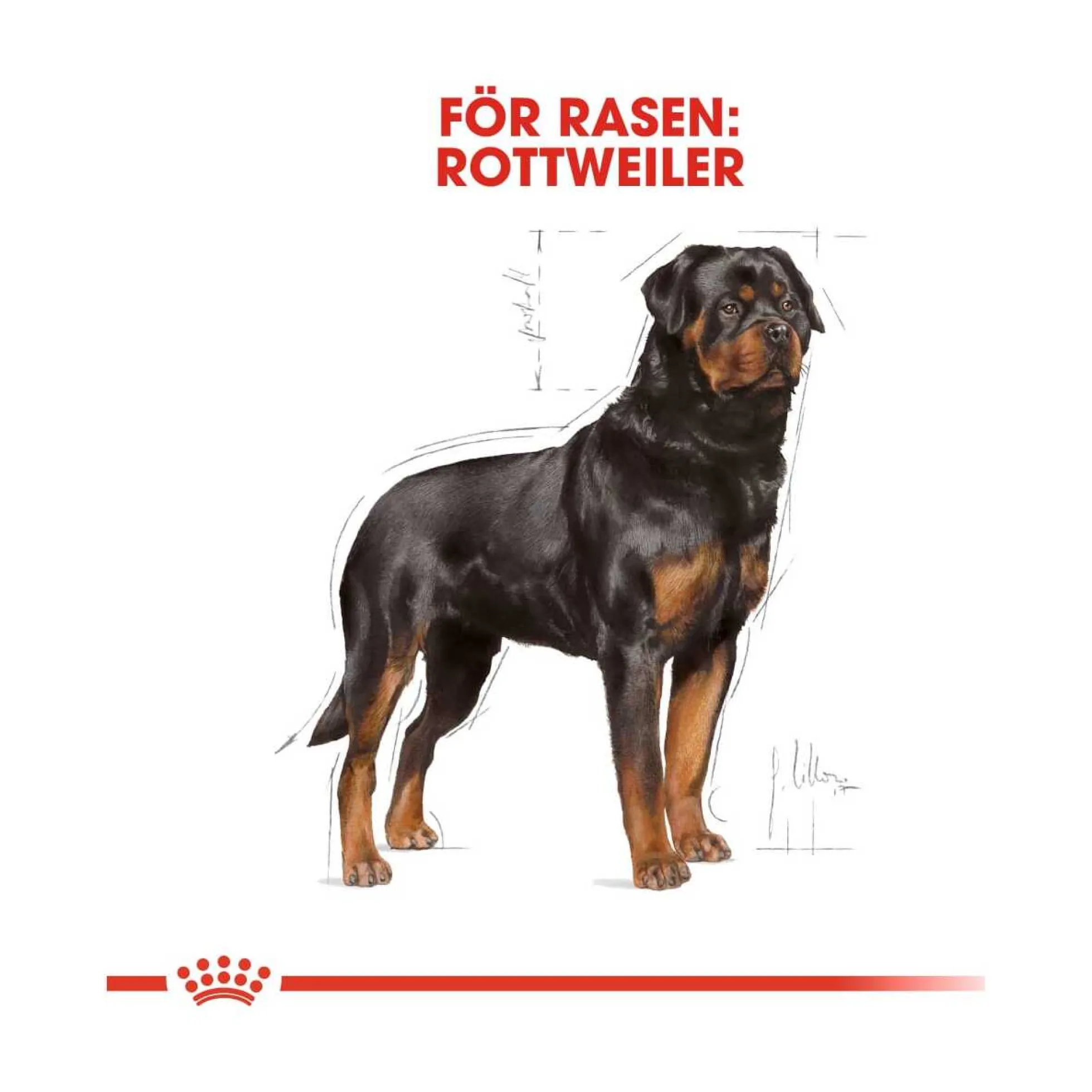 Royal Canin Rottweiler Adult