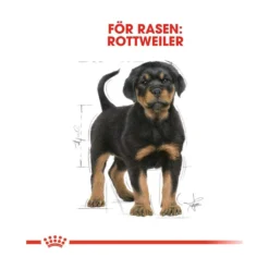 Royal Canin Rottweiler Puppy