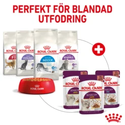 Royal Canin Sensory Feel Gravy