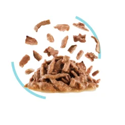 Royal Canin Sensory Feel Gravy