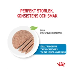 Royal Canin Starter Mother & Babydog Mousse