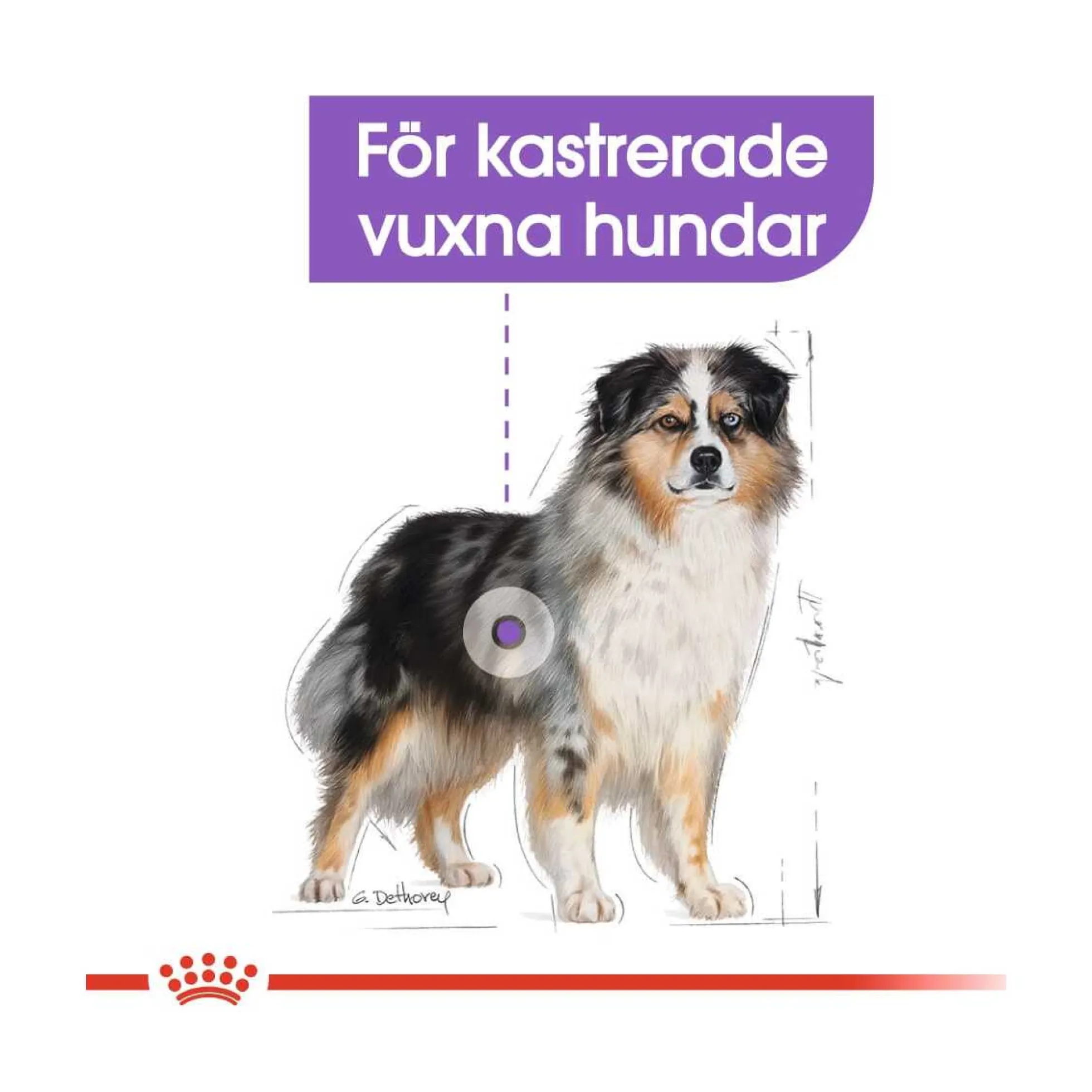 Royal Canin Sterilised Medium