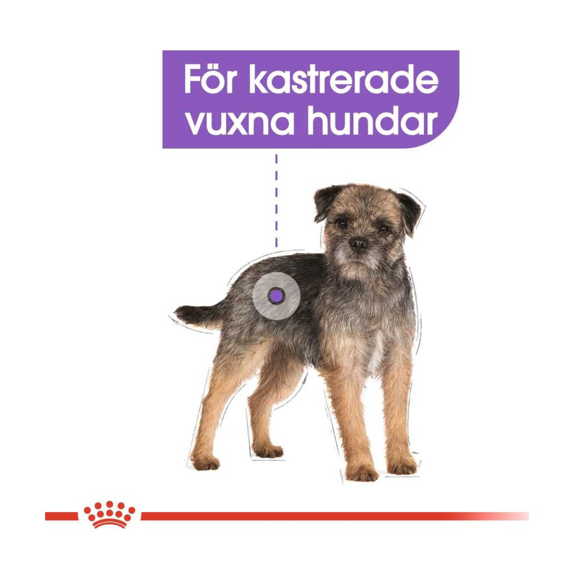Royal Canin Sterilised Mini