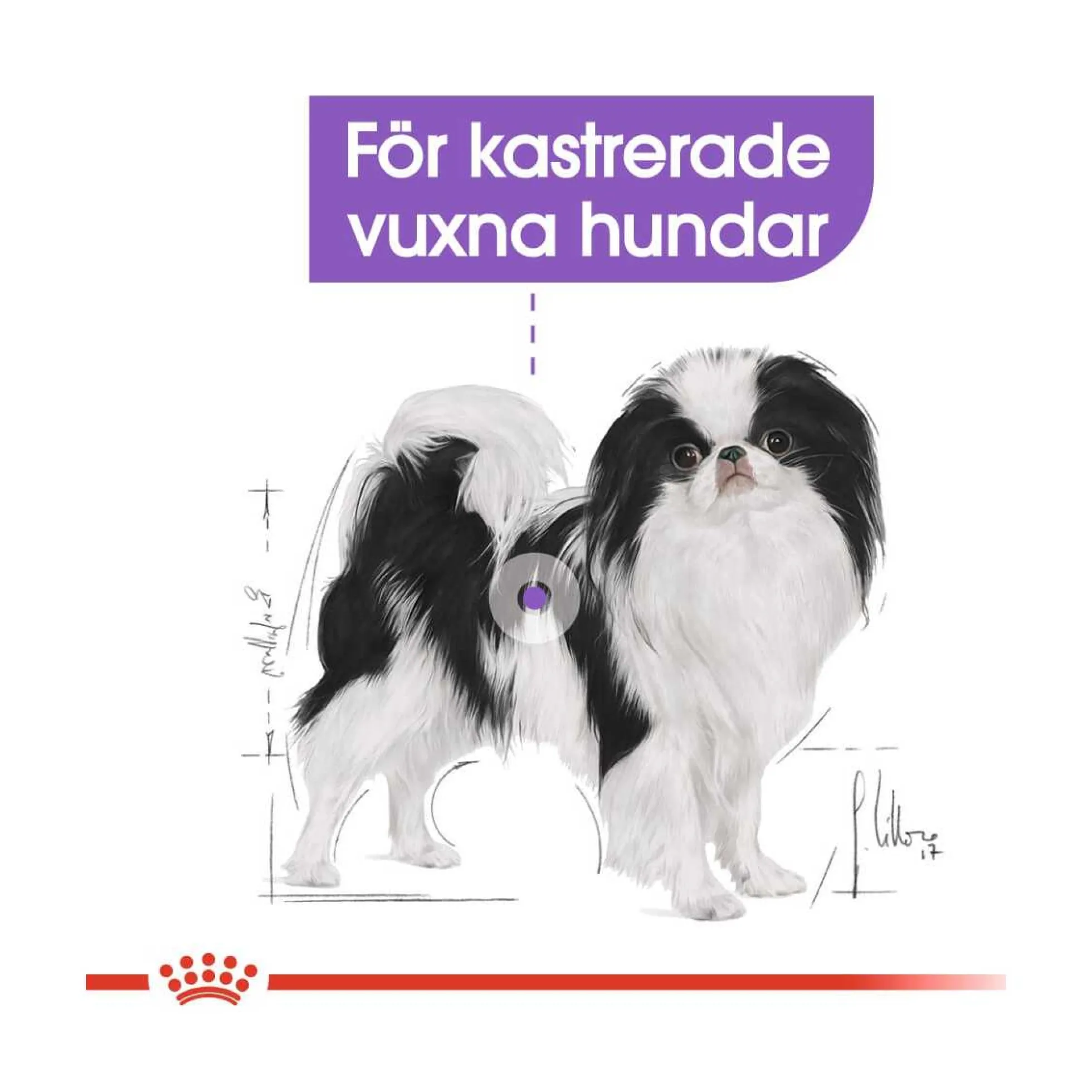 Royal Canin Sterilised X-Small