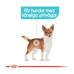 Royal Canin Urinary Care Mini