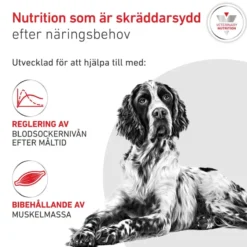 Royal Canin Weight Management Glycobalance Torrfoder för Hund