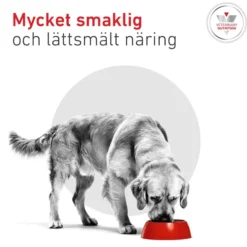 Royal Canin Weight Management Glycobalance Torrfoder för Hund
