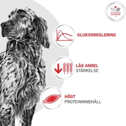 Royal Canin Weight Management Glycobalance Torrfoder för Hund