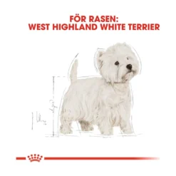 Royal Canin West Highland White Terrier Adult