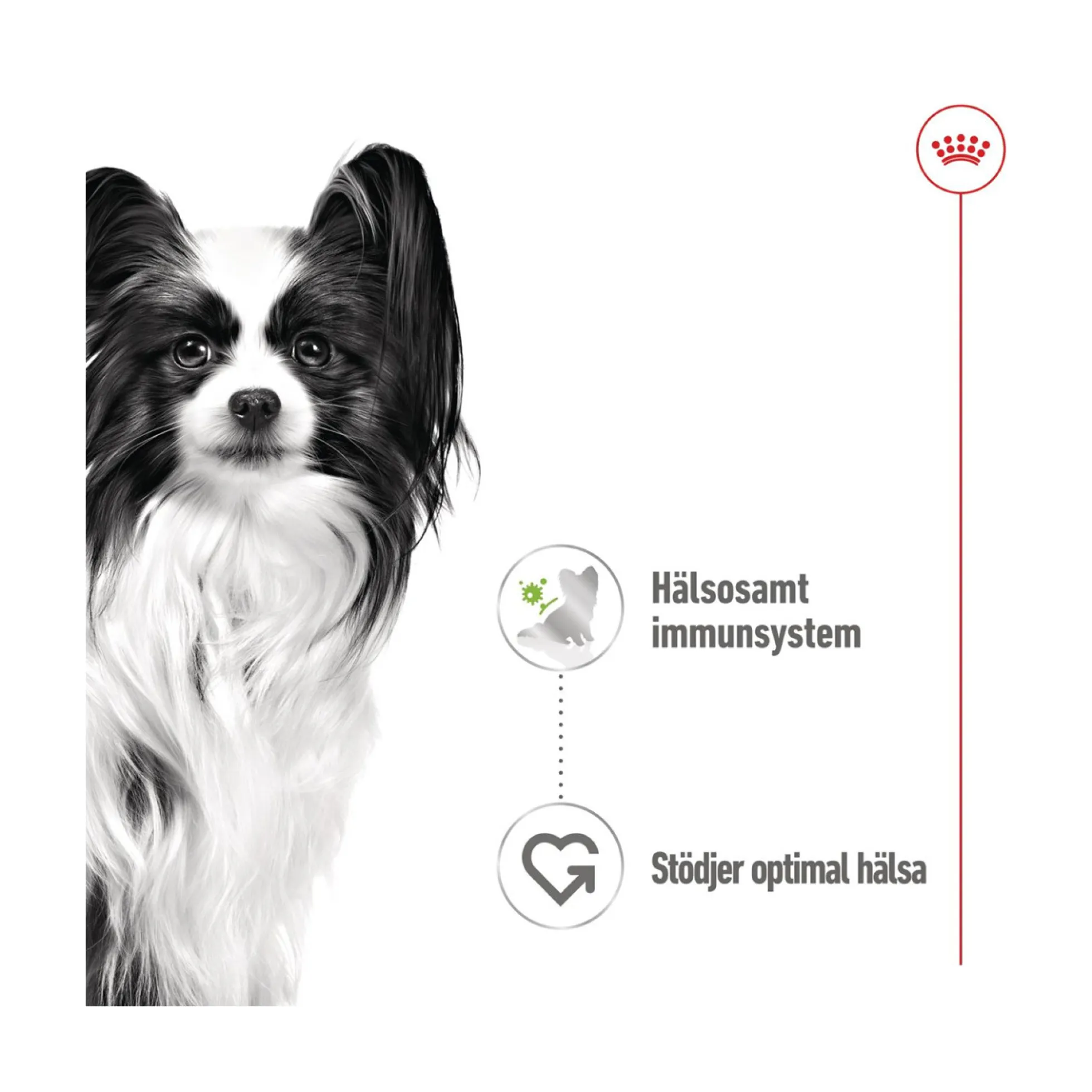 Royal Canin X-small Adult Wet