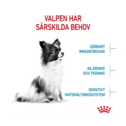 Royal Canin X-Small Puppy