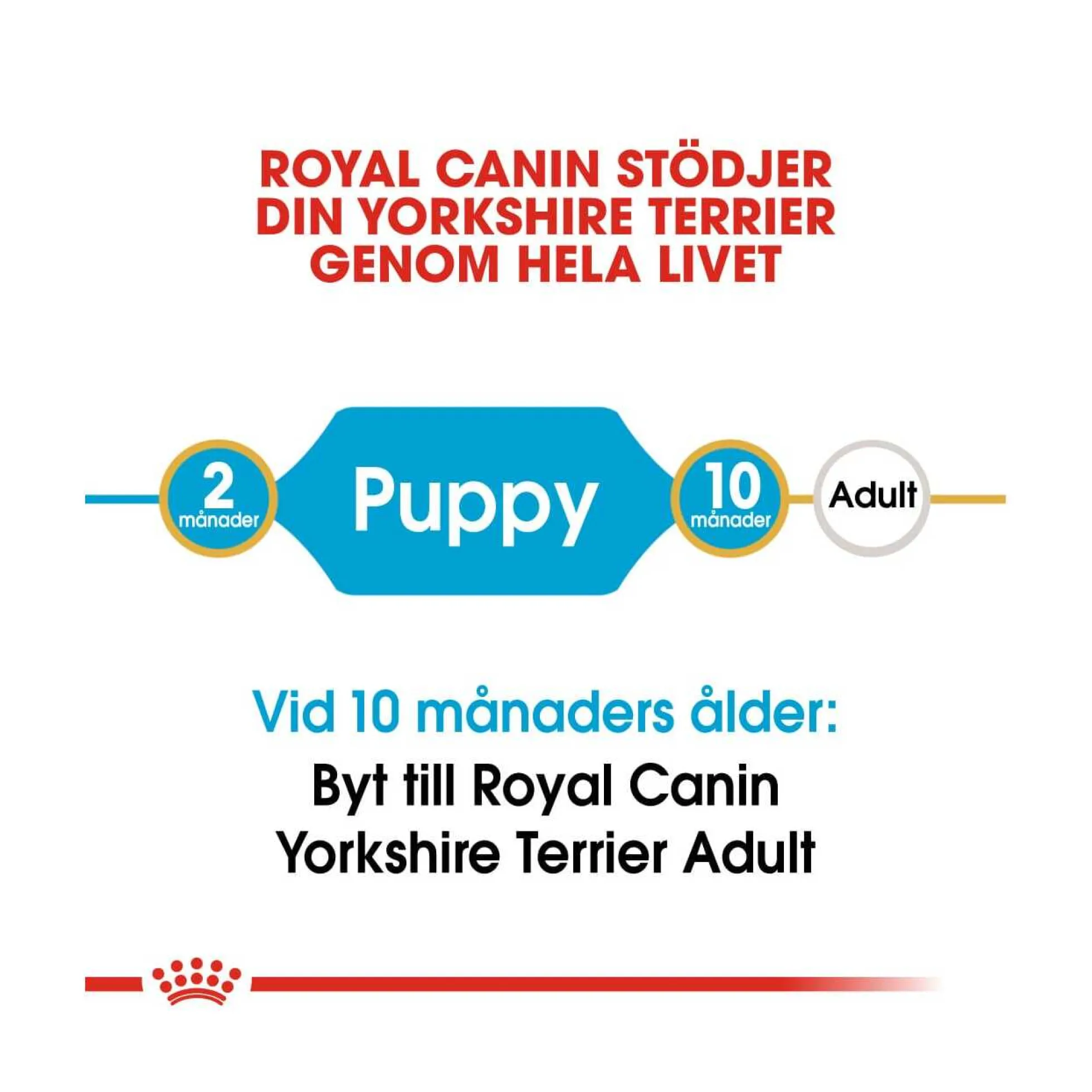 Royal Canin Yorkshire Terrier Puppy