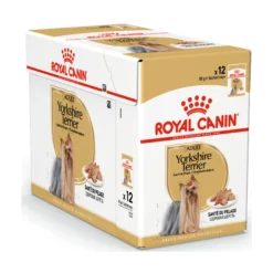Royal Canin Yorkshire Terrier Adult Wet