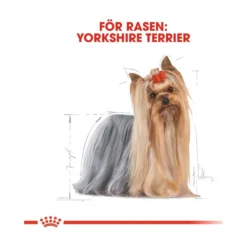 Royal Canin Yorkshire Terrier Adult Wet