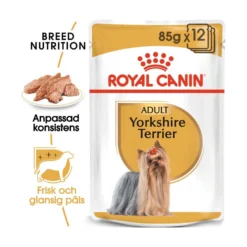 Royal Canin Yorkshire Terrier Adult Wet