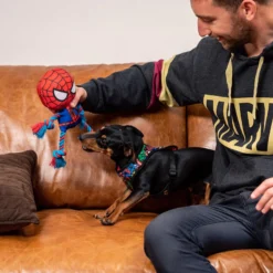 Spider-Man Tug Rope