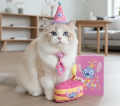 Stitch Birthday Kit