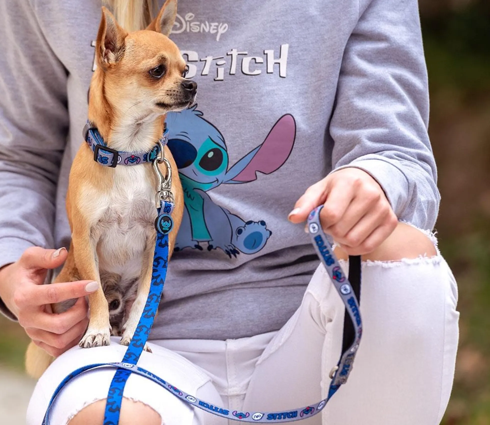 Stitch Hundhalsband Mörkblå