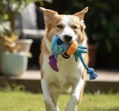 Stitch Hundleksak Dental Rope