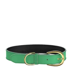 Swaggin Tails Halsband