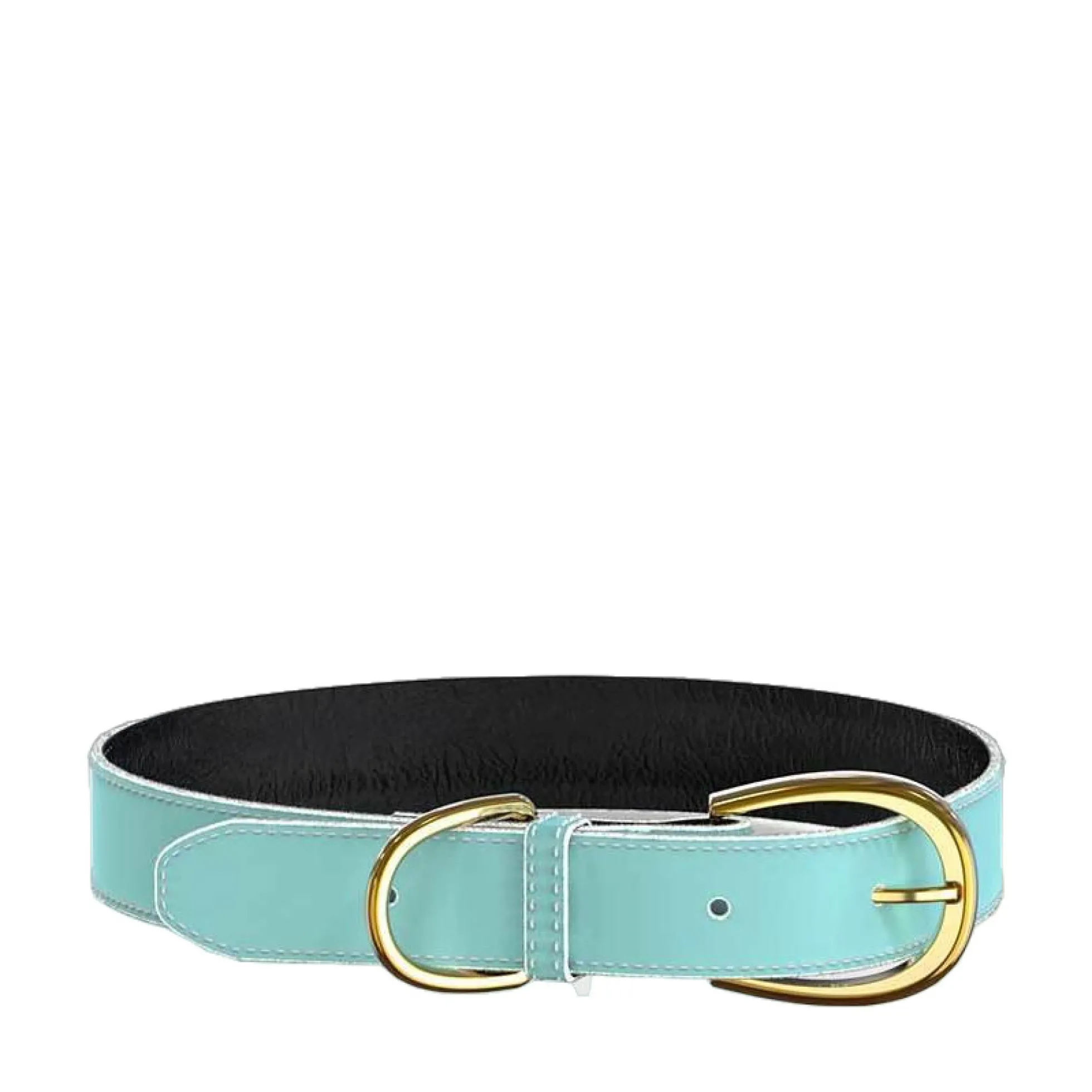 Swaggin Tails Halsband