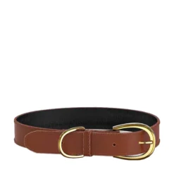 Swaggin Tails Halsband