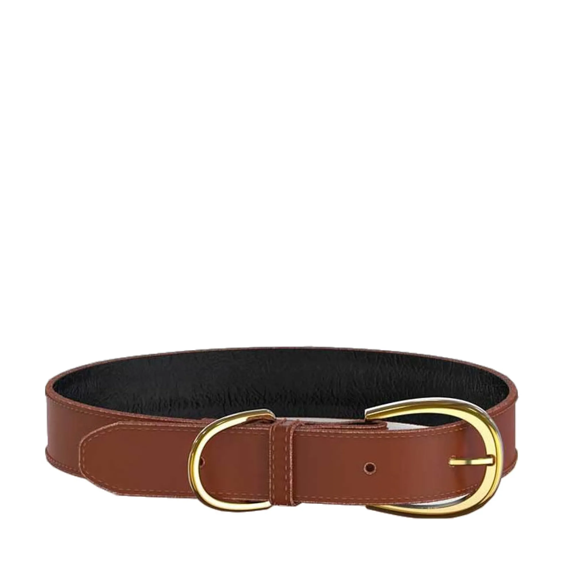 Swaggin Tails Halsband