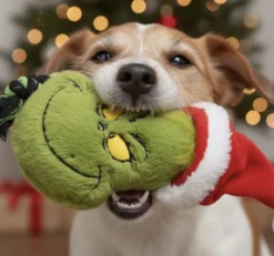 The Grinch Hundleksak Dental Rope