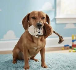 Toy Story Hundleksak Dental Rope