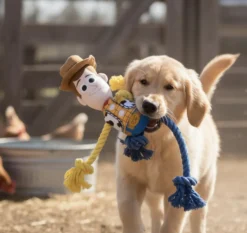 Toy Story Woody Hundleksak Tug Rope