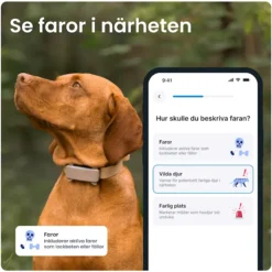 Tractive GPS Tracker för Hund