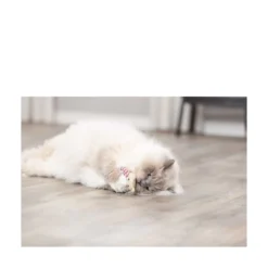 TRIXIE Catnip Björn